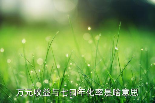 七月年化是什么意思，七日年化理財什么意思