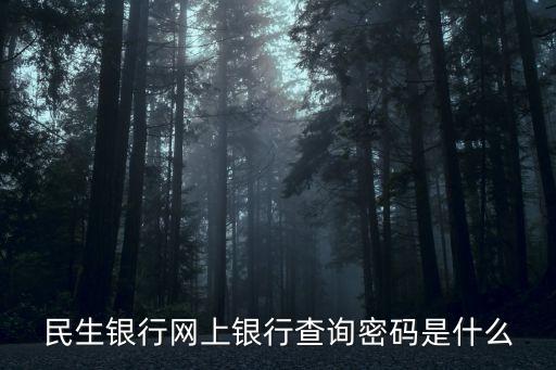 民生銀行電子賬戶登錄密碼是什么意思，民生銀行網(wǎng)上銀行查詢密碼是什么