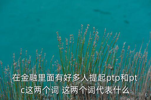 在金融里面有好多人提起ptp和ptc這兩個(gè)詞 這兩個(gè)詞代表什么
