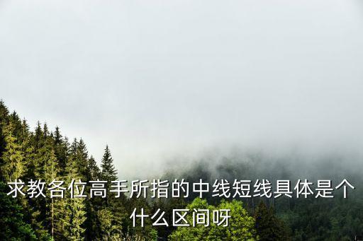 求教各位高手所指的中線短線具體是個(gè)什么區(qū)間呀