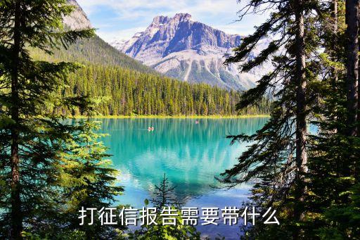 打征信報(bào)告需要帶什么