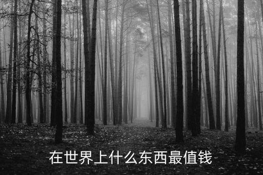 在世界上什么東西最值錢