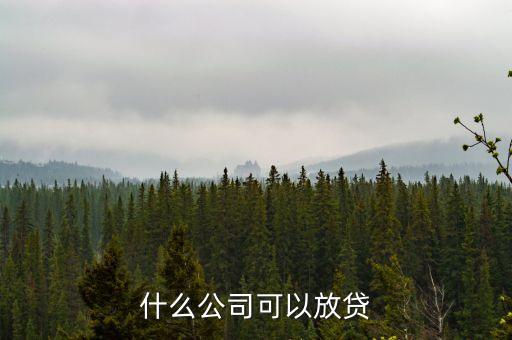 什么公司可以放貸