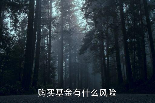 購買基金有什么風(fēng)險