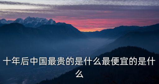 十年后中國最貴的是什么最便宜的是什么
