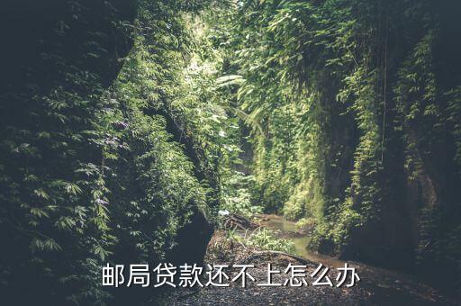 郵政貸款不還有什么好的解決辦法，郵局貸款還不上怎么辦