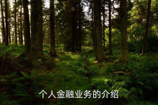 個人金融業(yè)務(wù)的介紹