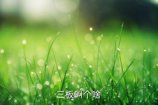 三板叫個啥