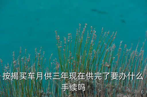 按揭買(mǎi)車(chē)月供三年現(xiàn)在供完了要辦什么手續(xù)嗎