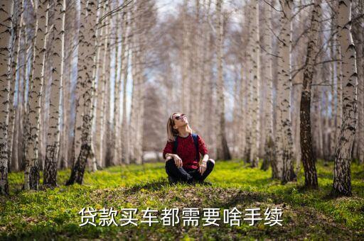 貸款買車都需要啥手續(xù)