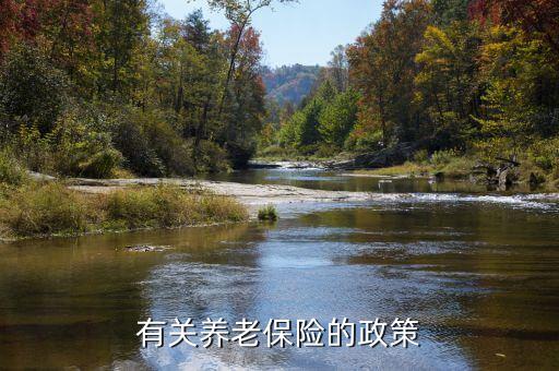 保險政策怎么寫，保險條款怎么寫