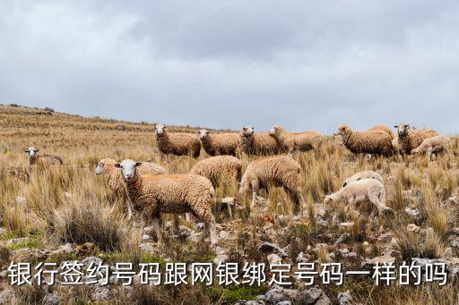 銀行簽約號碼跟網(wǎng)銀綁定號碼一樣的嗎