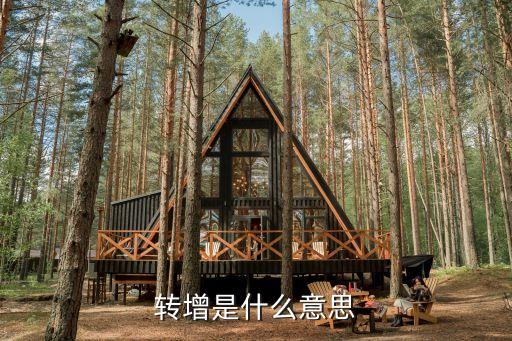 轉(zhuǎn)增是什么意思