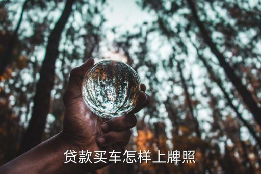 分期買車怎么上牌照，貸款買車怎樣上牌照