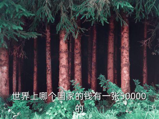 什么錢有50000一張的，什么國(guó)家的錢幣有面值50000元的
