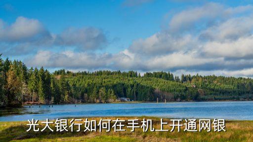 光大銀行如何在手機(jī)上開通網(wǎng)銀