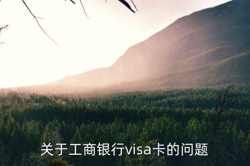 關(guān)于工商銀行visa卡的問(wèn)題