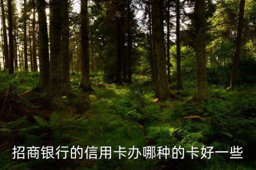 招商銀行信用卡辦什么卡好，招商銀行信用卡哪種卡比較好