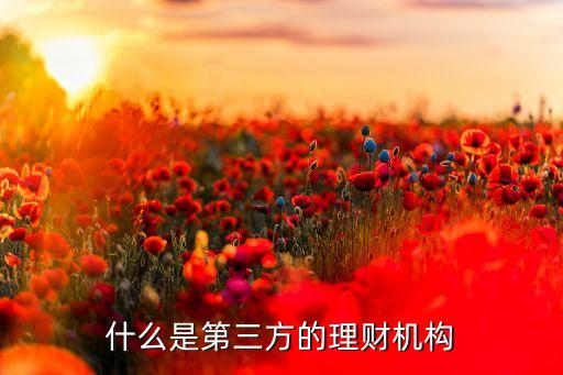 什么是第三方的理財(cái)機(jī)構(gòu)