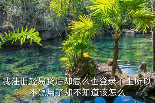 我注冊(cè)輕易貸后卻怎么也登錄不上所以不想用了卻不知道該怎么