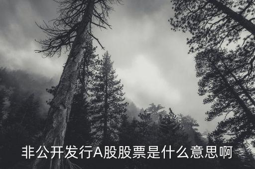 非公開發(fā)行A股股票是什么意思啊
