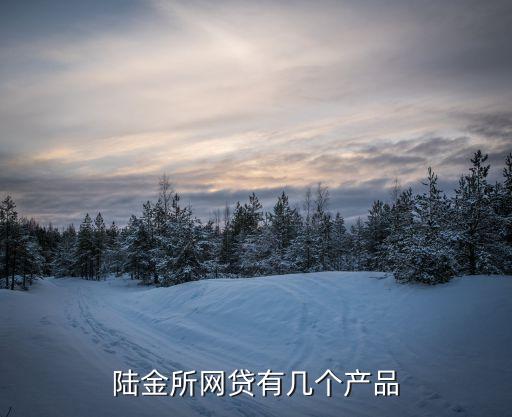 陸金所網(wǎng)貸有幾個產(chǎn)品