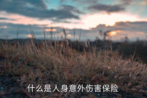什么是人身意外傷害保險(xiǎn)