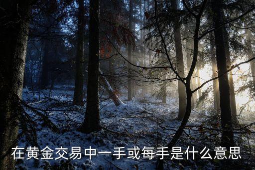 在黃金交易中一手或每手是什么意思