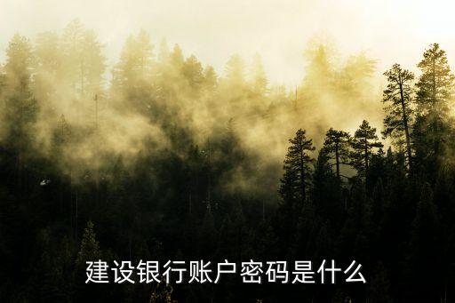 建設(shè)銀行賬戶密碼是什么