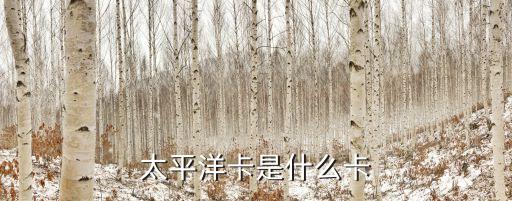 太平洋卡是什么卡