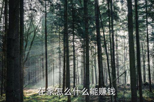 在家怎么什么能賺錢