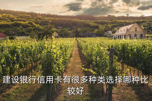 建設(shè)銀行信用卡有很多種類選擇哪種比較好