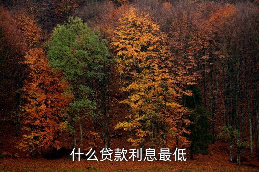 什么分期付款利息最低還款，什么貸款利息最低