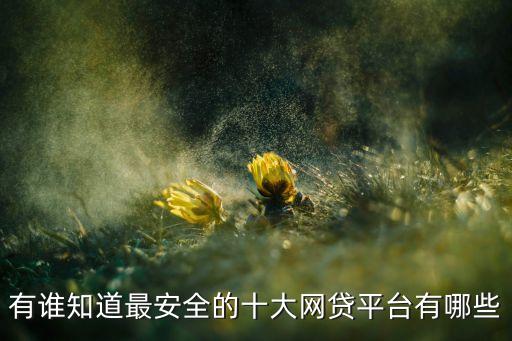 有誰知道最安全的十大網(wǎng)貸平臺有哪些