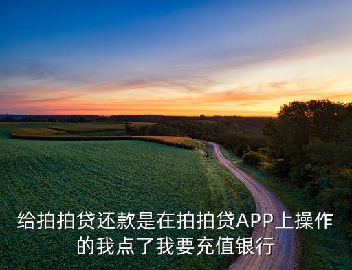 為什么拍拍貸充值失敗，給拍拍貸還款是在拍拍貸APP上操作的我點(diǎn)了我要充值銀行