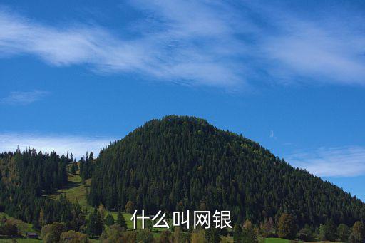 什么叫網(wǎng)銀