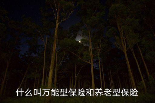 萬能型保險包含什么意思，什么是萬能型保險