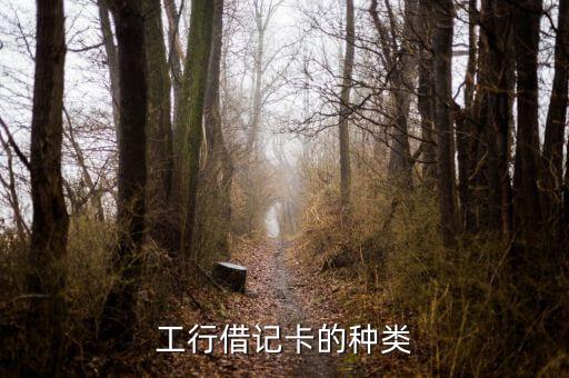 工行借記卡的種類(lèi)