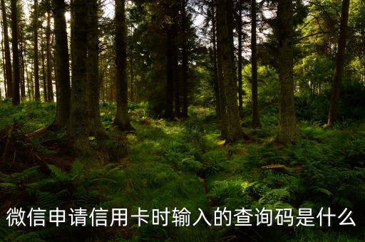 微信申請(qǐng)信用卡時(shí)輸入的查詢碼是什么