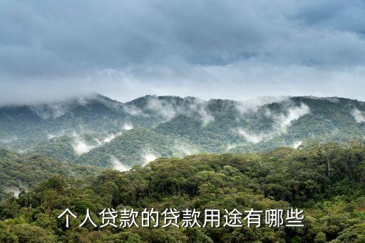 個人貸款的貸款用途有哪些