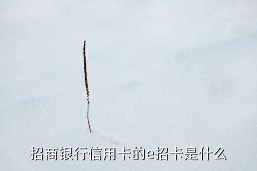 招商銀行信用卡的e招卡是什么