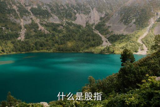 股指指的是什么，什么是股指