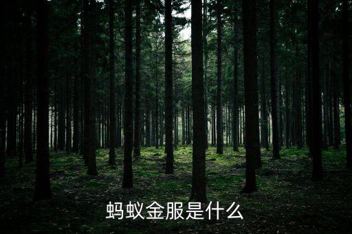 螞蟻金服什么牌照，螞蟻金服是銀行嗎