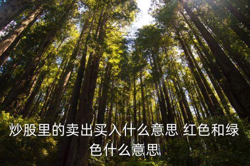 賣進什么意思是什么意思是什么，在股票交易里 買入 賣入 和 市場買入 賣出 區(qū)別是什么 還有對買對