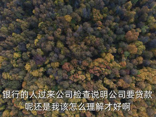 銀行的人過(guò)來(lái)公司檢查說(shuō)明公司要貸款呢還是我該怎么理解才好啊