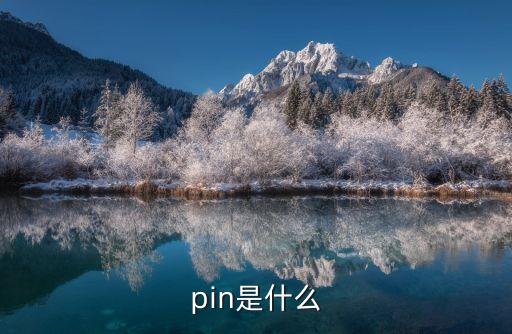 pin是什么