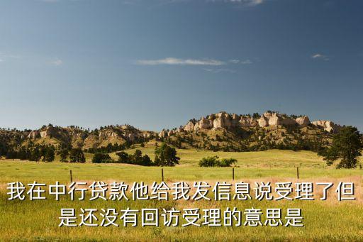 我在中行貸款他給我發(fā)信息說受理了但是還沒有回訪受理的意思是
