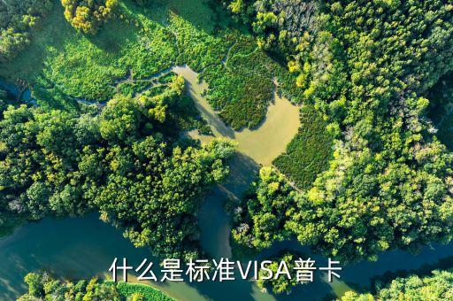 什么是標準VISA普卡