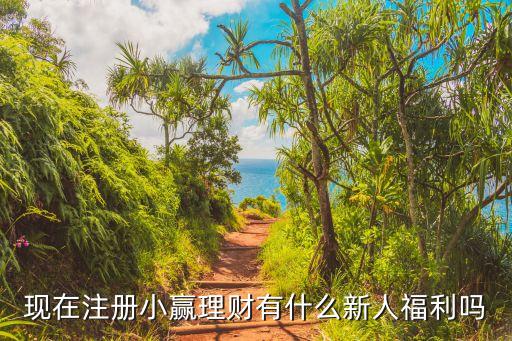 小贏理財(cái)實(shí)名需要什么好處，現(xiàn)在注冊(cè)小贏理財(cái)有什么新人福利嗎