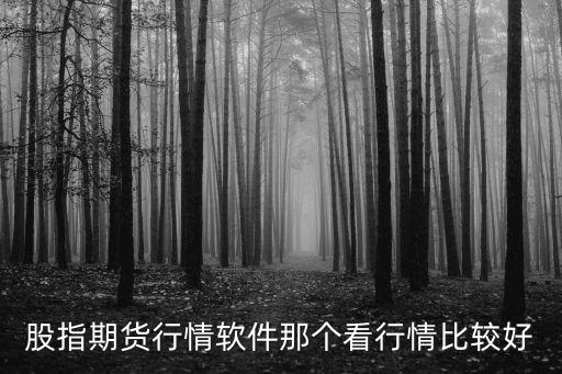 股指期貨行情軟件那個(gè)看行情比較好